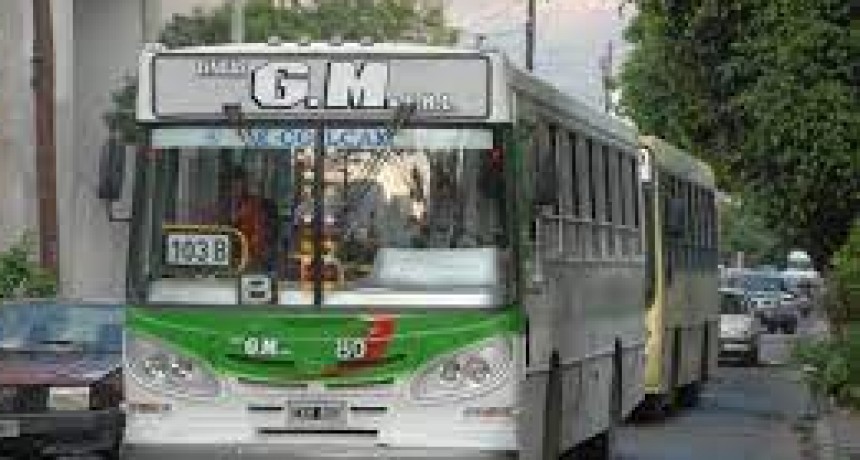 EL TRANSPORTE PUBLICO SERA GRATIS PARA LAS PASO