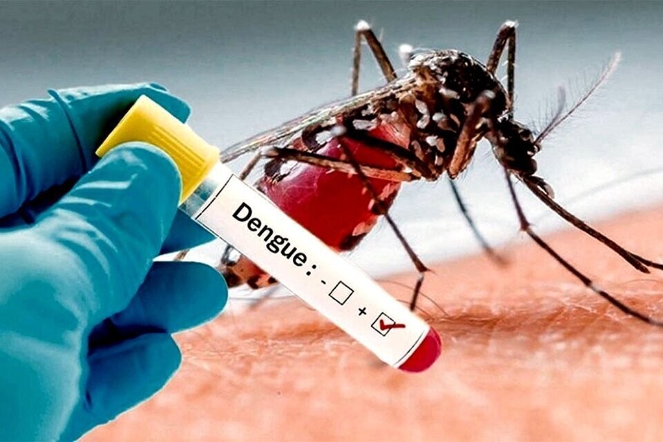 Se viene la vacuna contra el dengue: qué característas tendrá y cuándo estará disponible