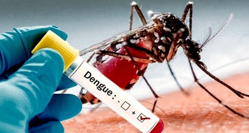 Se viene la vacuna contra el dengue: qué característas tendrá y cuándo estará disponible