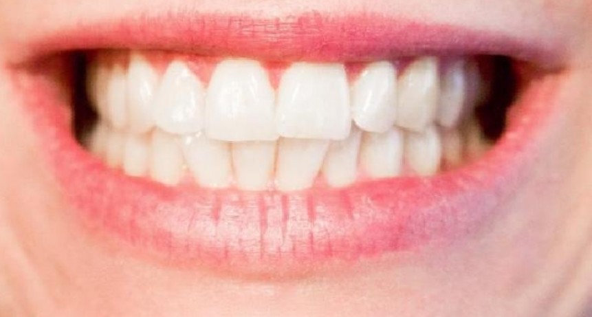 Una startup japonesa desarrolla un fármaco pionero para hacer crecer nuevos dientes en humanos