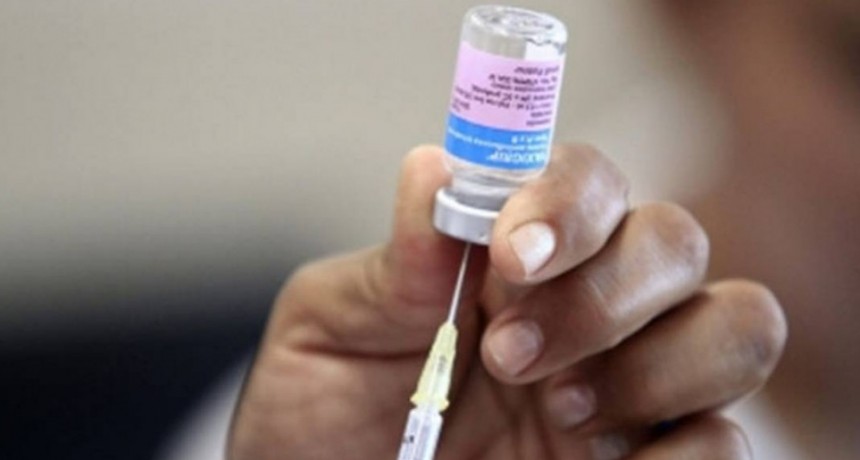 Catamarca recibió de Nación las primeras vacunas contra el Dengue