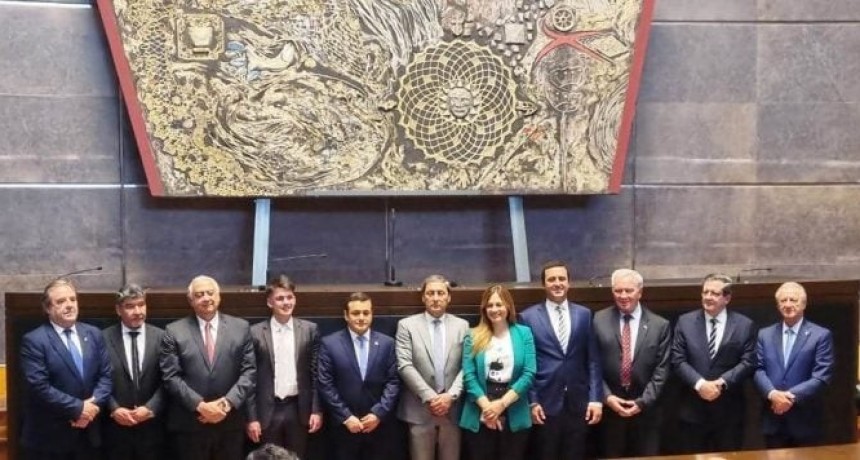 Los vicegobernadores del Norte Grande emitieron un comunicado rechazando el ajuste de Milei: “No podemos aceptar que el equilibrio fiscal sea a costa de los sacrificios extremos de las provincias”