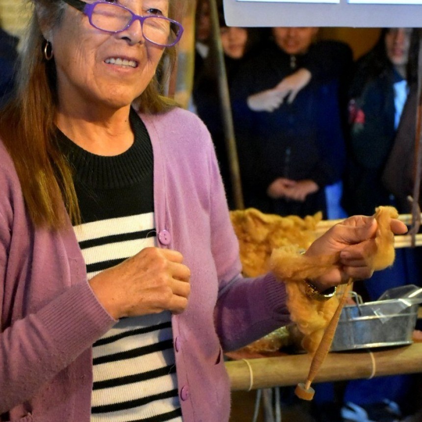 Artesanías capacitará en fieltro y tejidos en vicuña