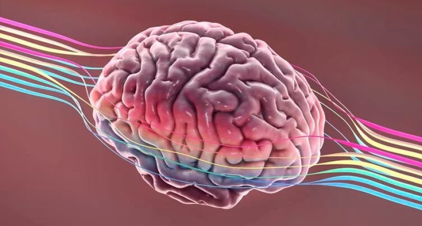 Intuiciones de la inteligencia artificial y su facilidad para leer la mente