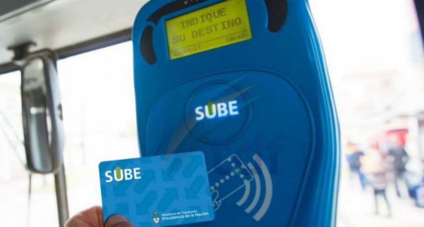 Tarjeta SUBE: ¿cómo funciona la “carga a bordo” para acreditar saldo arriba del colectivo en el AMBA?