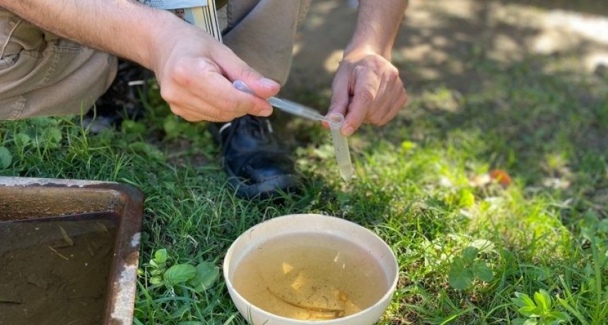 Dengue en Catamarca: continúan las tareas preventivas