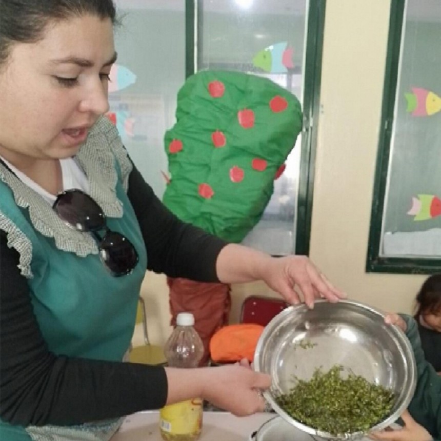 Alumnos y docentes desarrollaron el proyecto “Jarilla: Planta Medicinal”