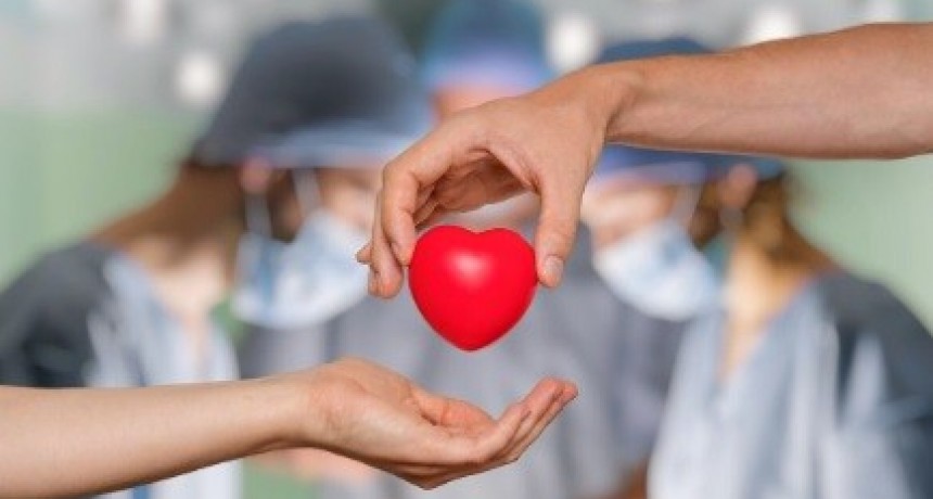El 74% de los argentinos se manifestó a favor de la donación de órganos