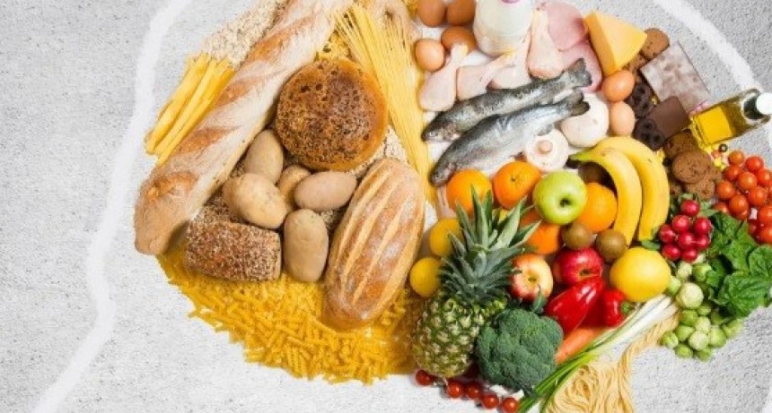 Harvard dio a conocer los alimentos que ayudan a mantener la memoria