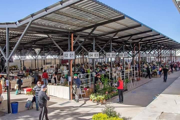 ESTE DOMINGO, CONTINÚA LA FERIA UNIDA