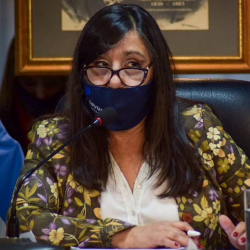 RENOVACION DE AUTORIDADES EN DIPUTADOS