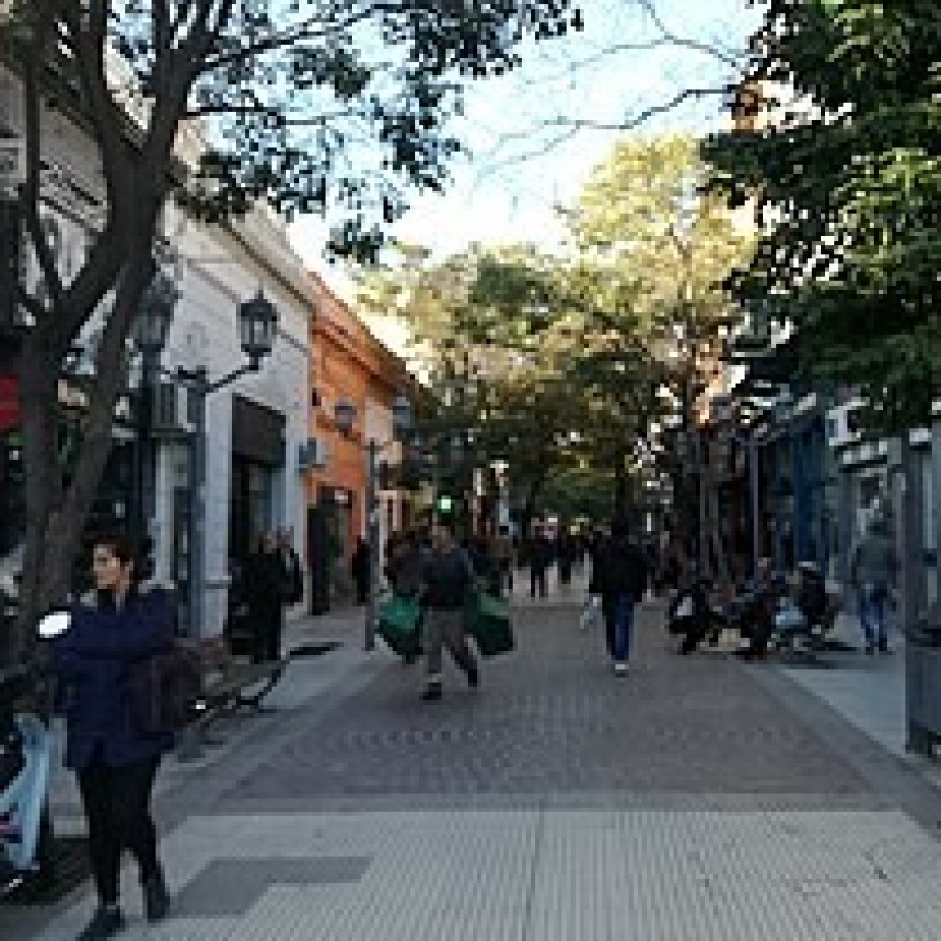 Peligro por un arbol en el centro capitalino