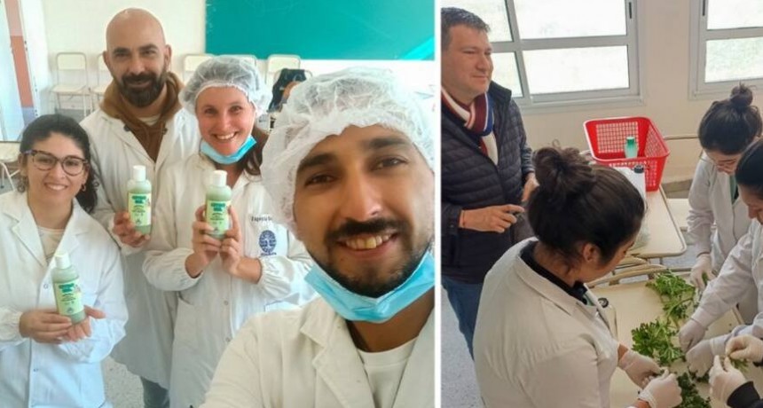 Científicos del Conicet junto con alumnos de una escuela tucumana desarrollaron un repelente natural