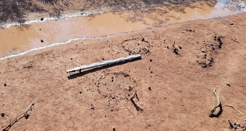 Importante hallazgo arqueológico en Capayán