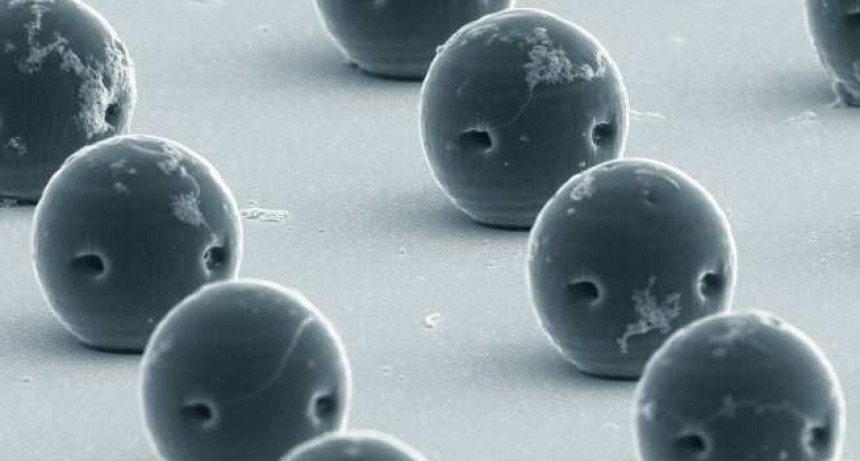 Microrrobots intracorporales hechos de hidrogel y bioabsorbibles